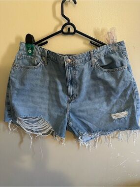 Forever 21 Light Blue Distressed Denim Shorts - Unbranded